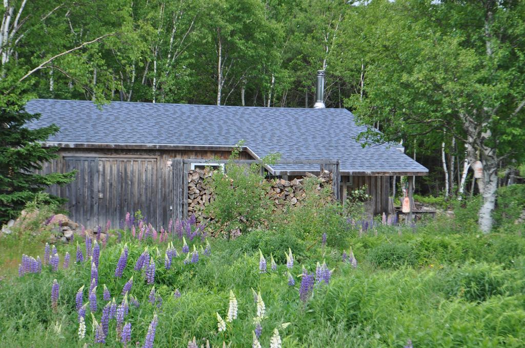The Sleeping Moose Cottage Birch Plain Экстерьер фото
